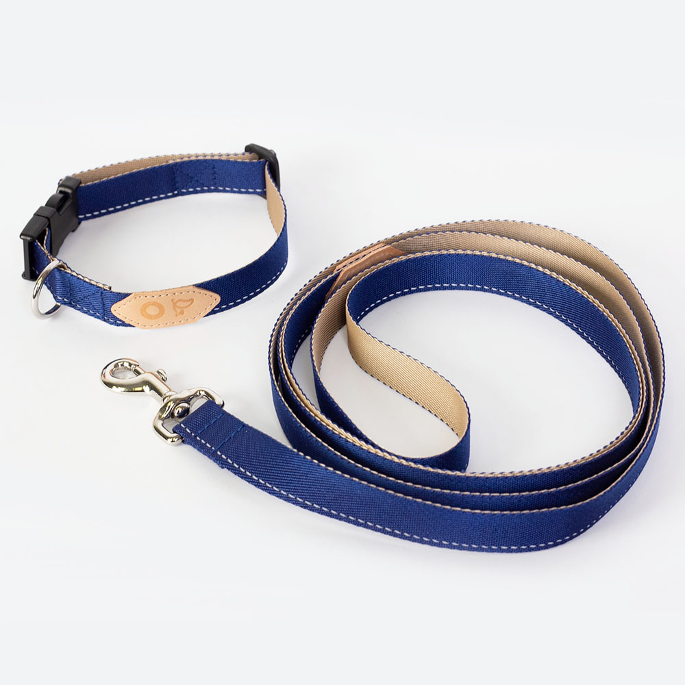 Комплект: поводок-петля и ошейник сапфирово-бежевый