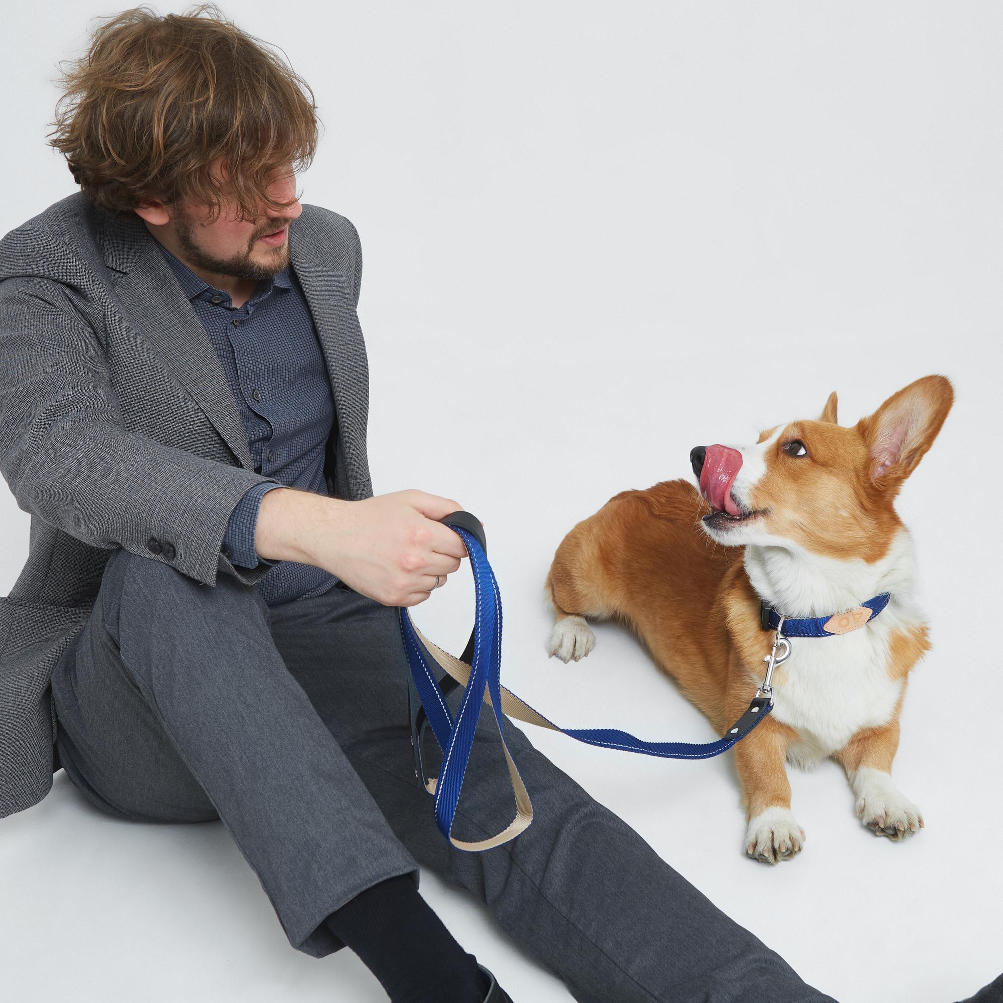 Комплект: ошейник и поводок с кожаной ручкой поводок сапфирово-бежевый