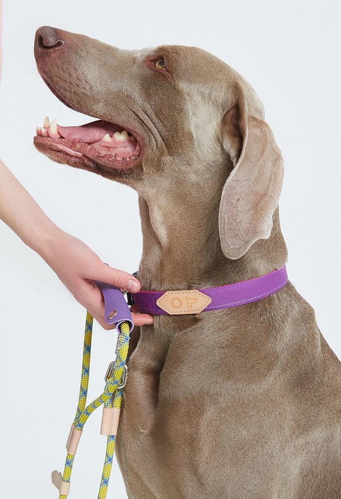 Комплект в мешочке. Поводок с кожаной ручкой и ошейник