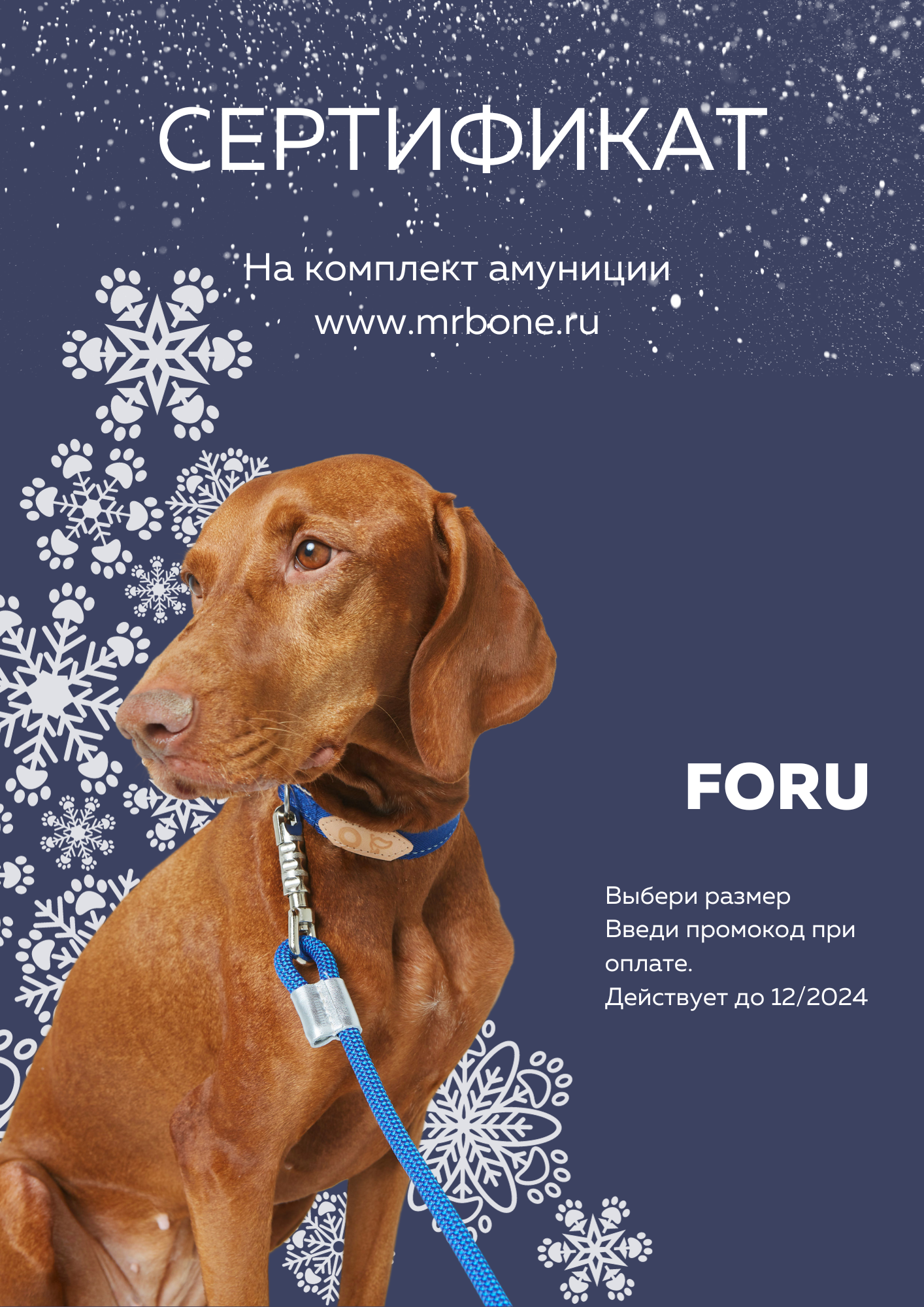 Подарочный сертификат Зимний на амуницию