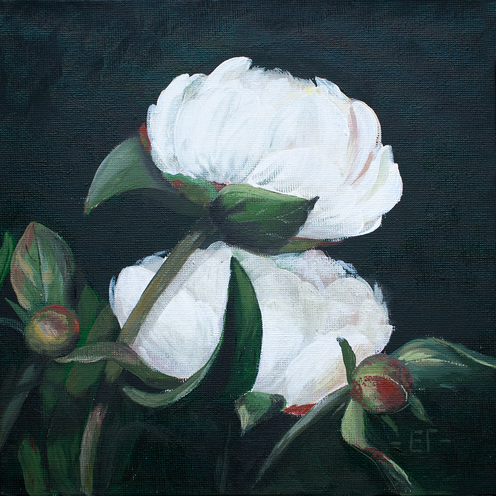 картина пионы елена гурьева