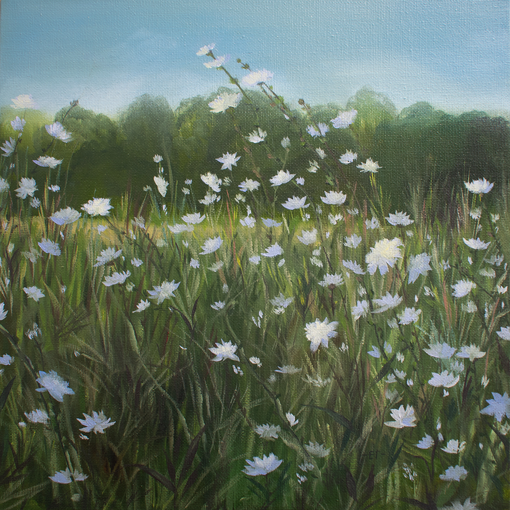 «Цикорий у дома»