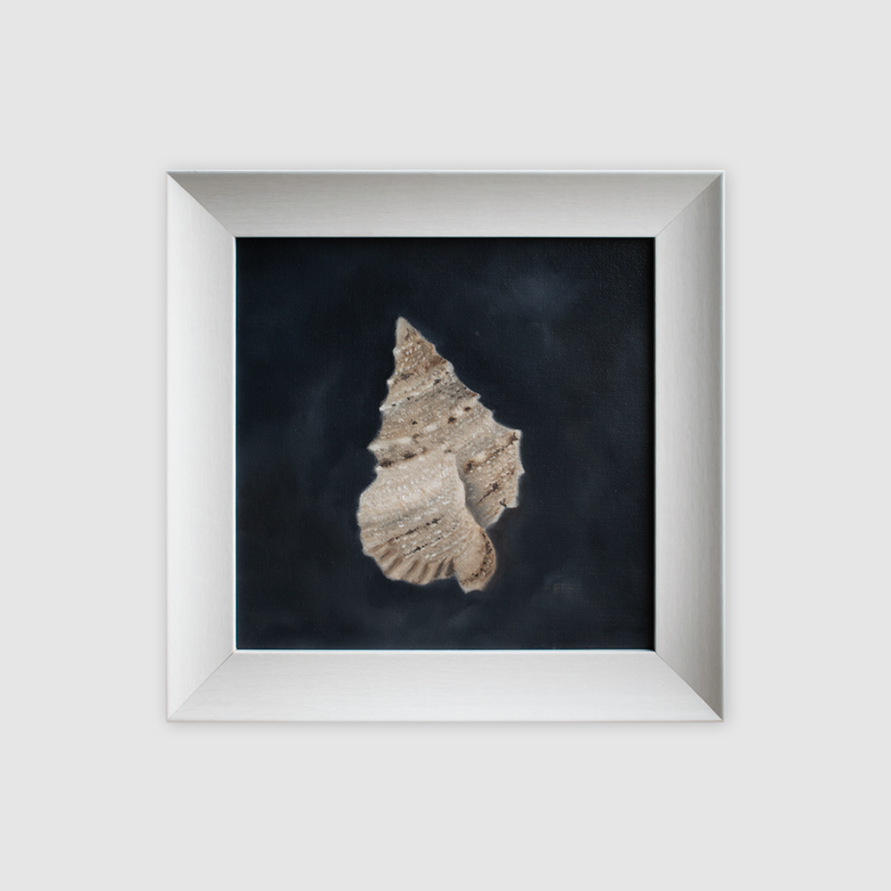 картина ракушка елена гурьева