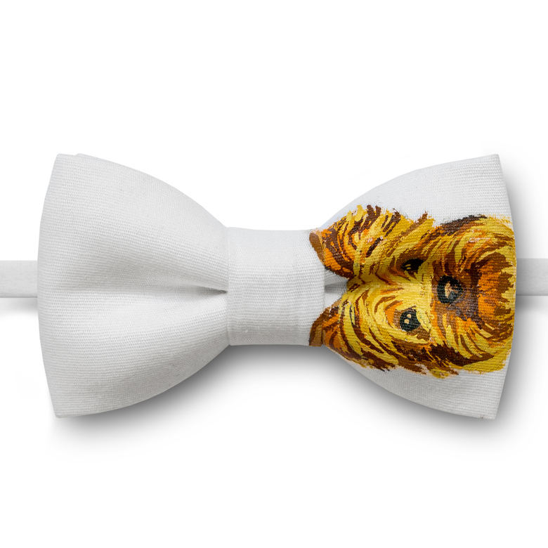 Йоркширский терьер