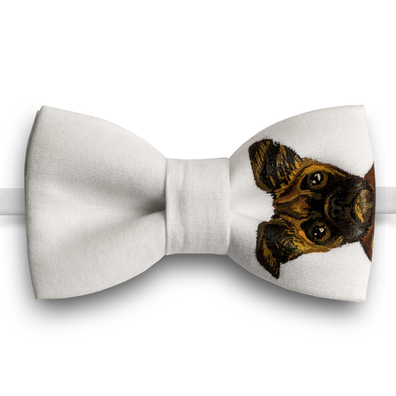 Пти брабансон