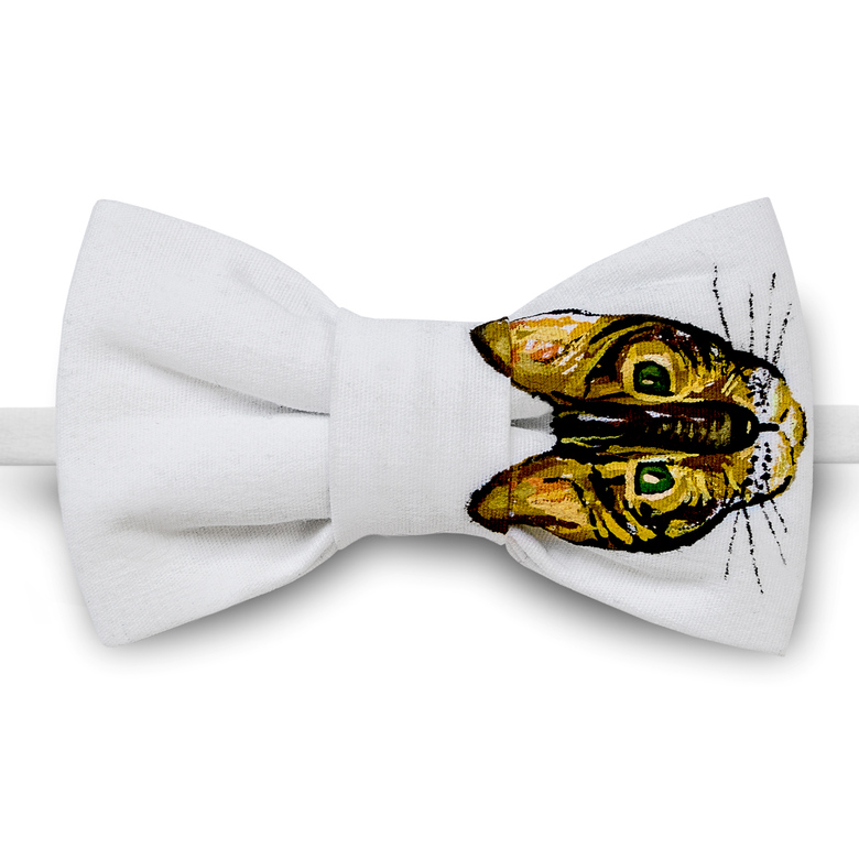 Бенгальский кот