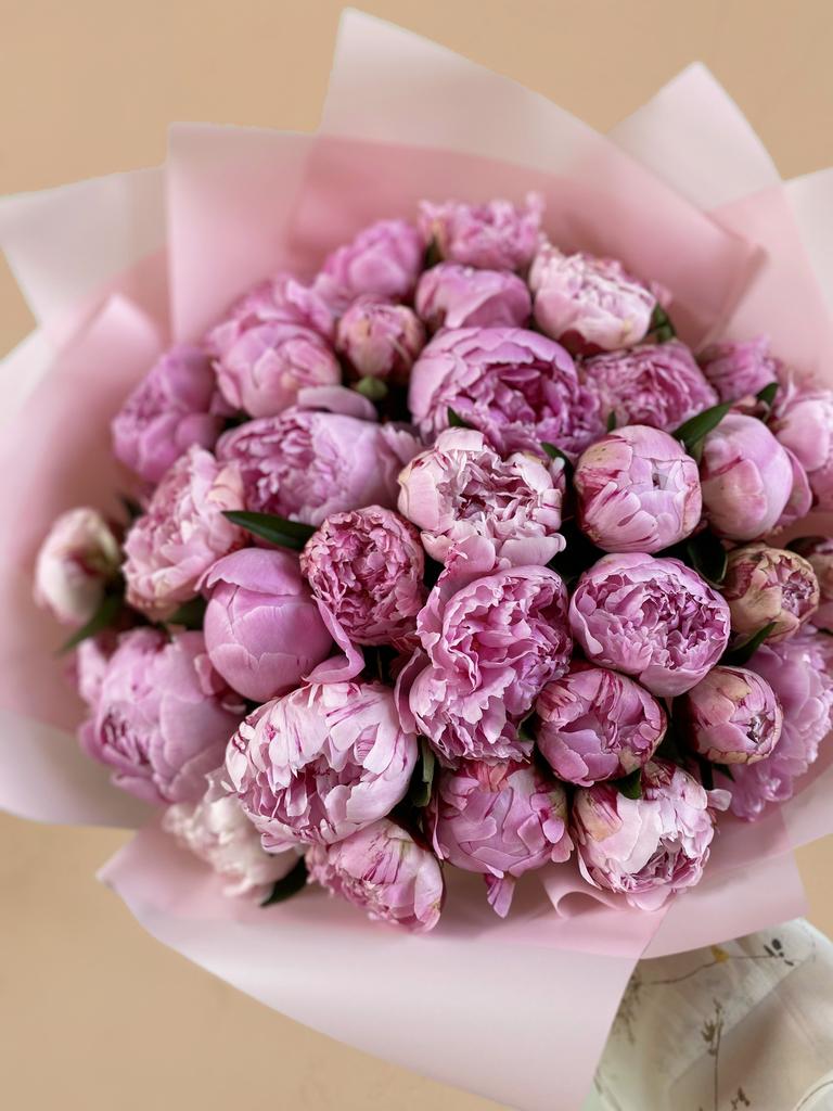 Пионы Сара Бернар