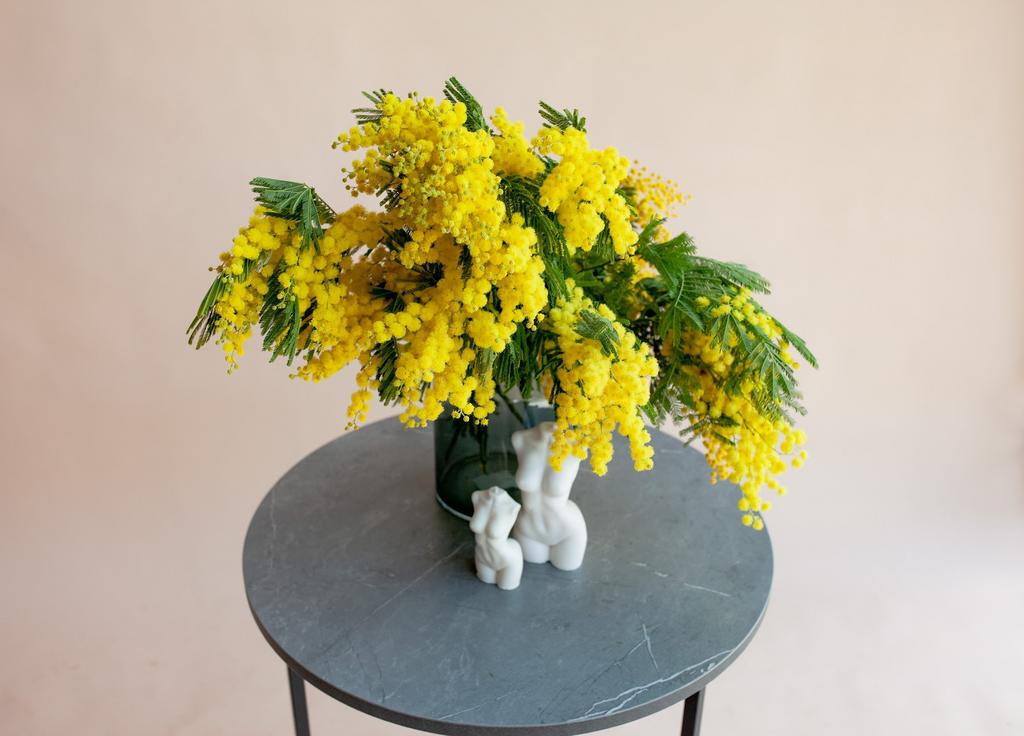 Букет мимозы
