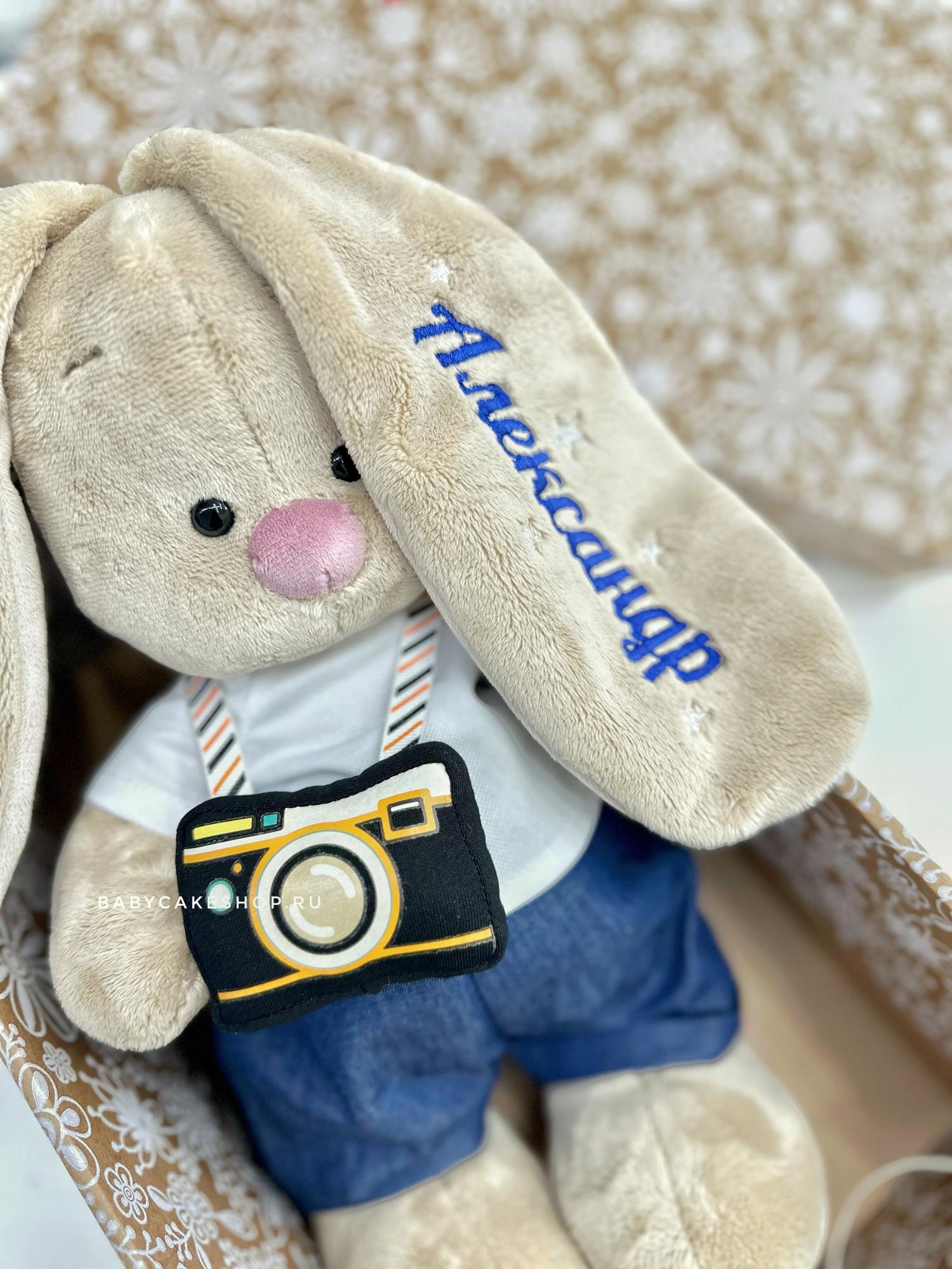 Именная игрушка с вышивкой имени и метрикой «Зайка Ми с фотоаппаратом»