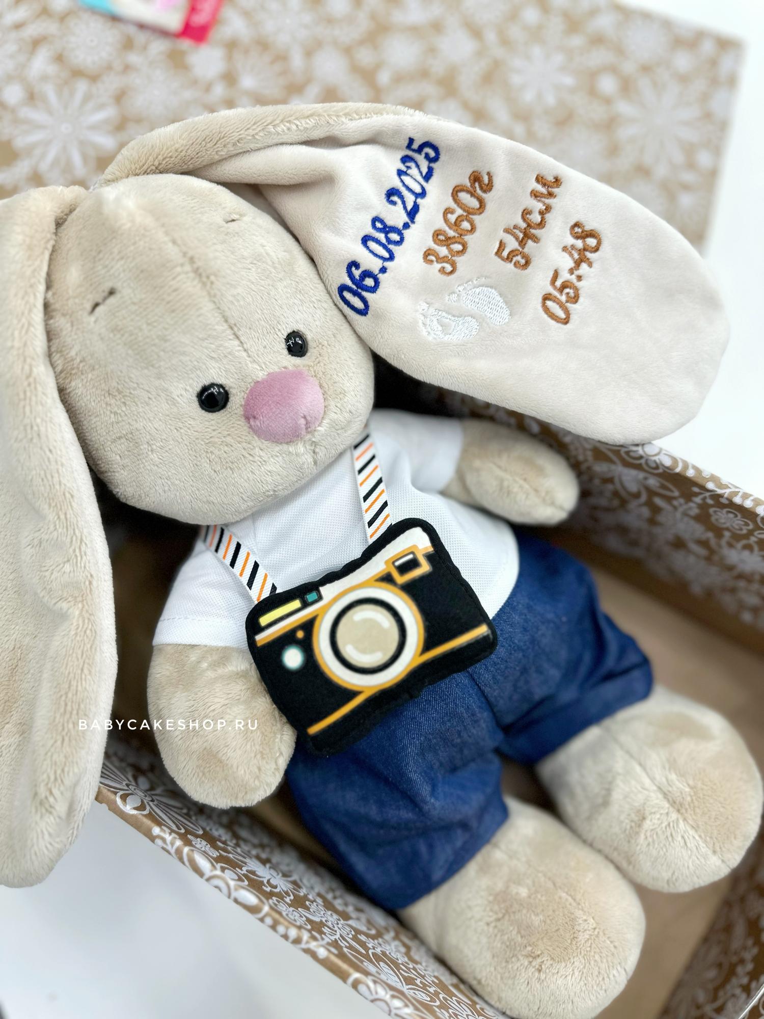Именная игрушка с вышивкой имени и метрикой «Зайка Ми с фотоаппаратом»