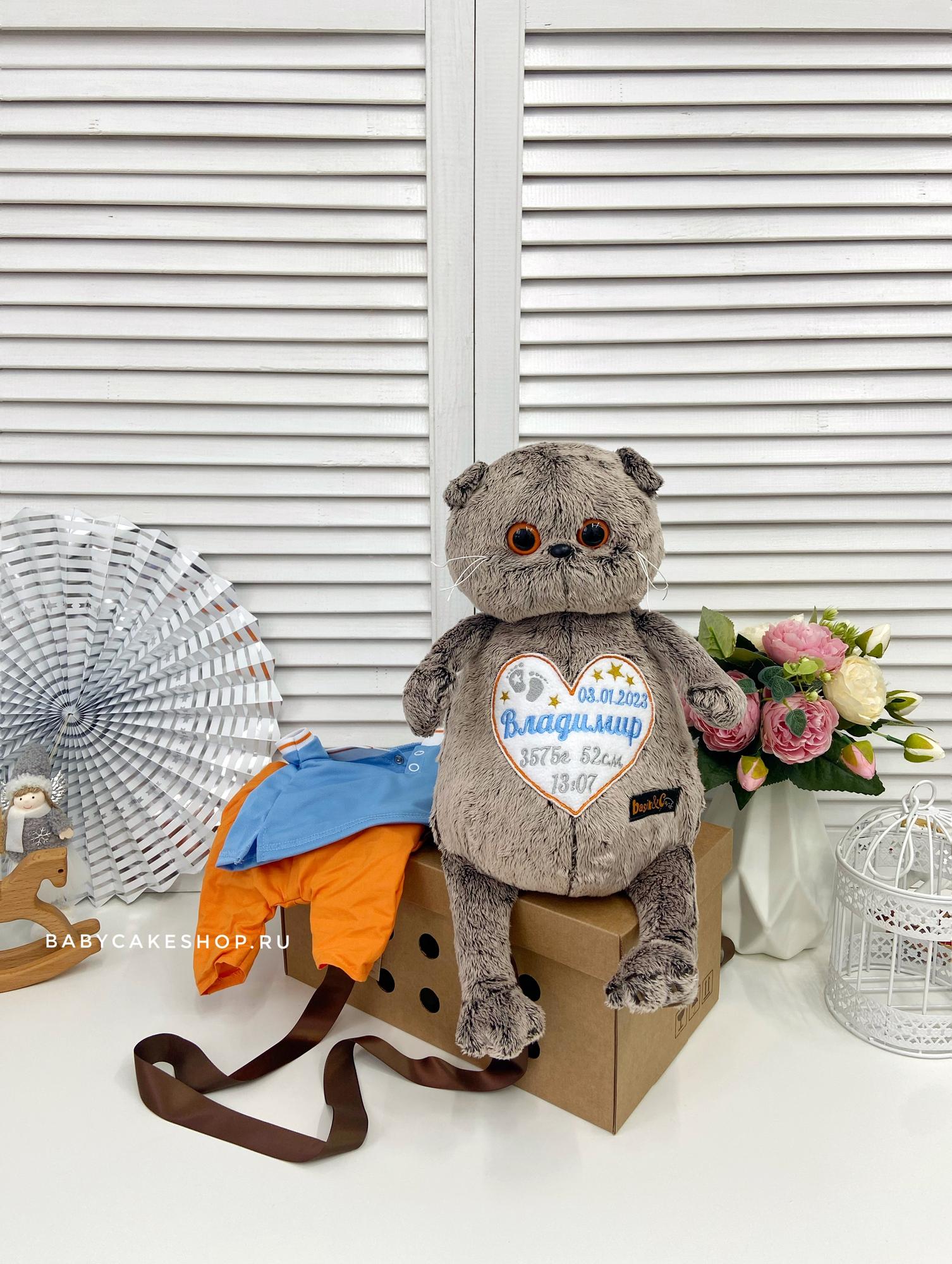 Именная мягкая игрушка кот «Большой Басик в поло»