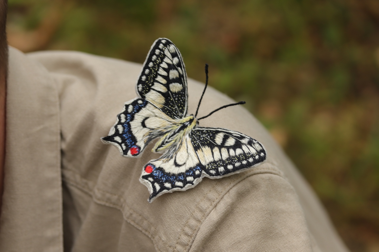 Набор материалов для создания броши МАХАОН (nab123)