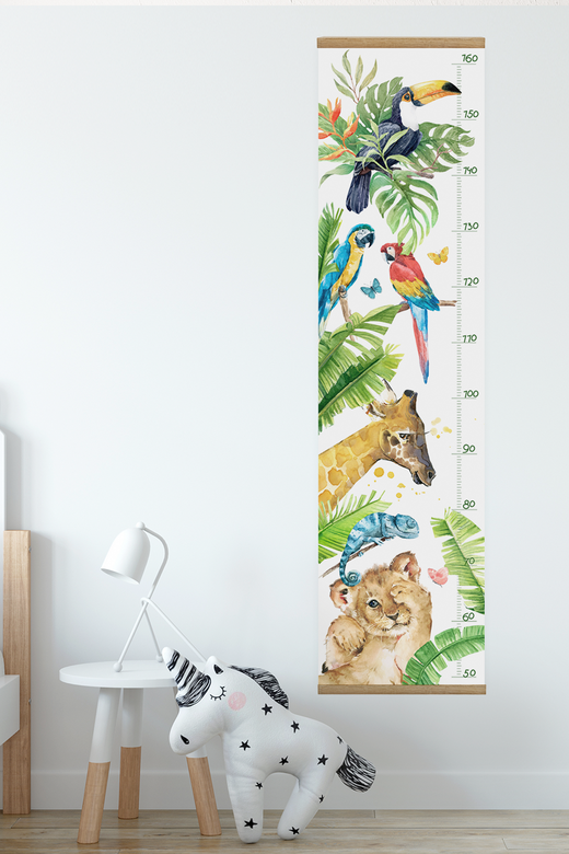 Ростомер "Тропики"