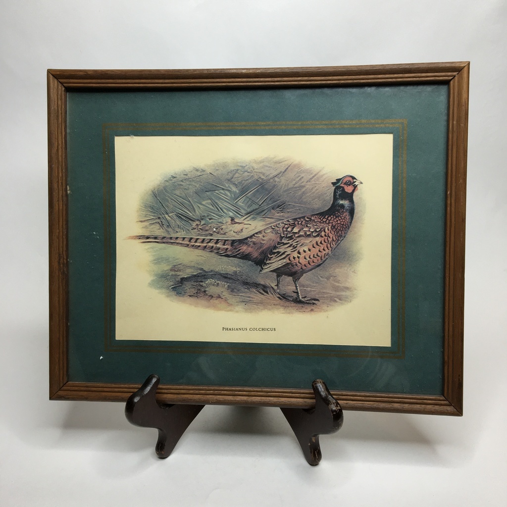 Репродукция "Фазан" в деревянной раме Арт 658