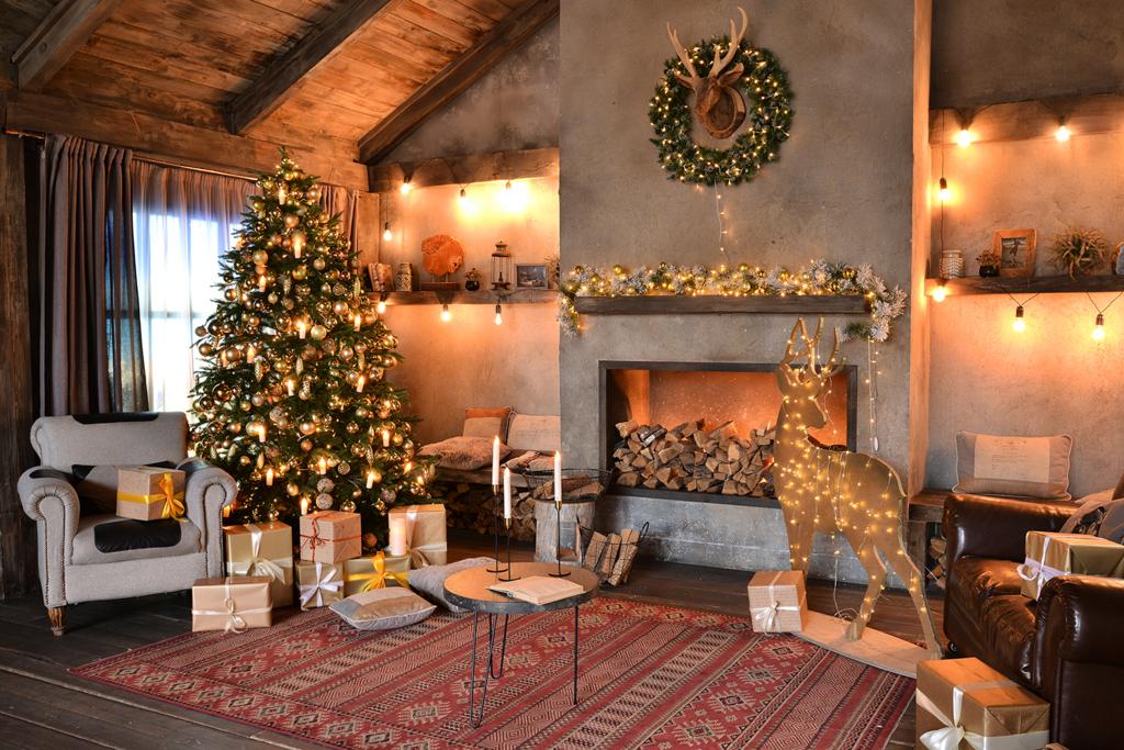 Фотосессия в зале Парнас (1 час): Москва 28 декабря 2025 (Бронь/Предоплата)