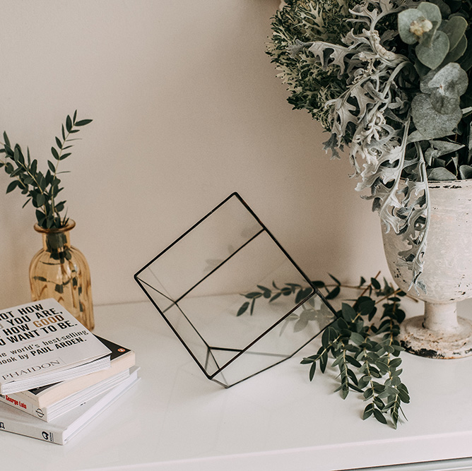 Флорариум куб