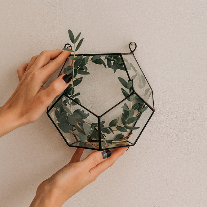 Настенный флорариум "Додекаэдр"