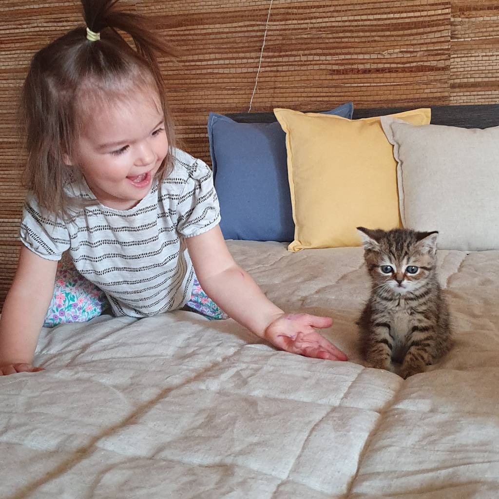 Стеганое покрывало-одеяло "Льняное"