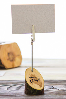 ВИЗИТНИЦА-ПРИЩЕПКА НА СПИЛЕ