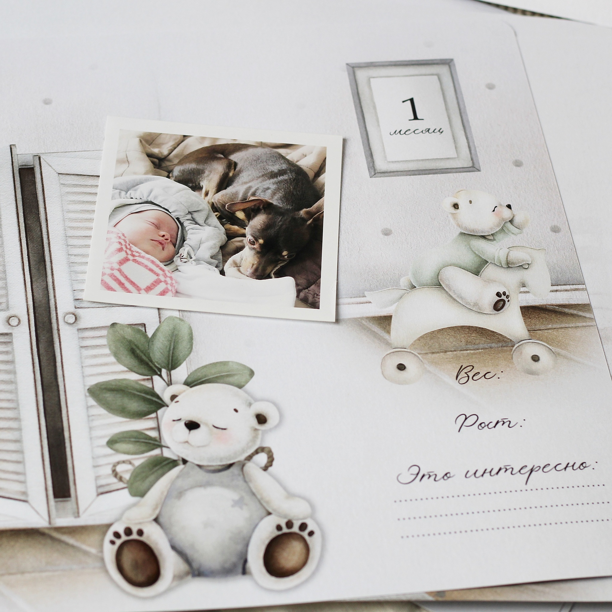 Honey Bear Family универсальный набор электронных страниц до 7 лет ( на русском, украинском)