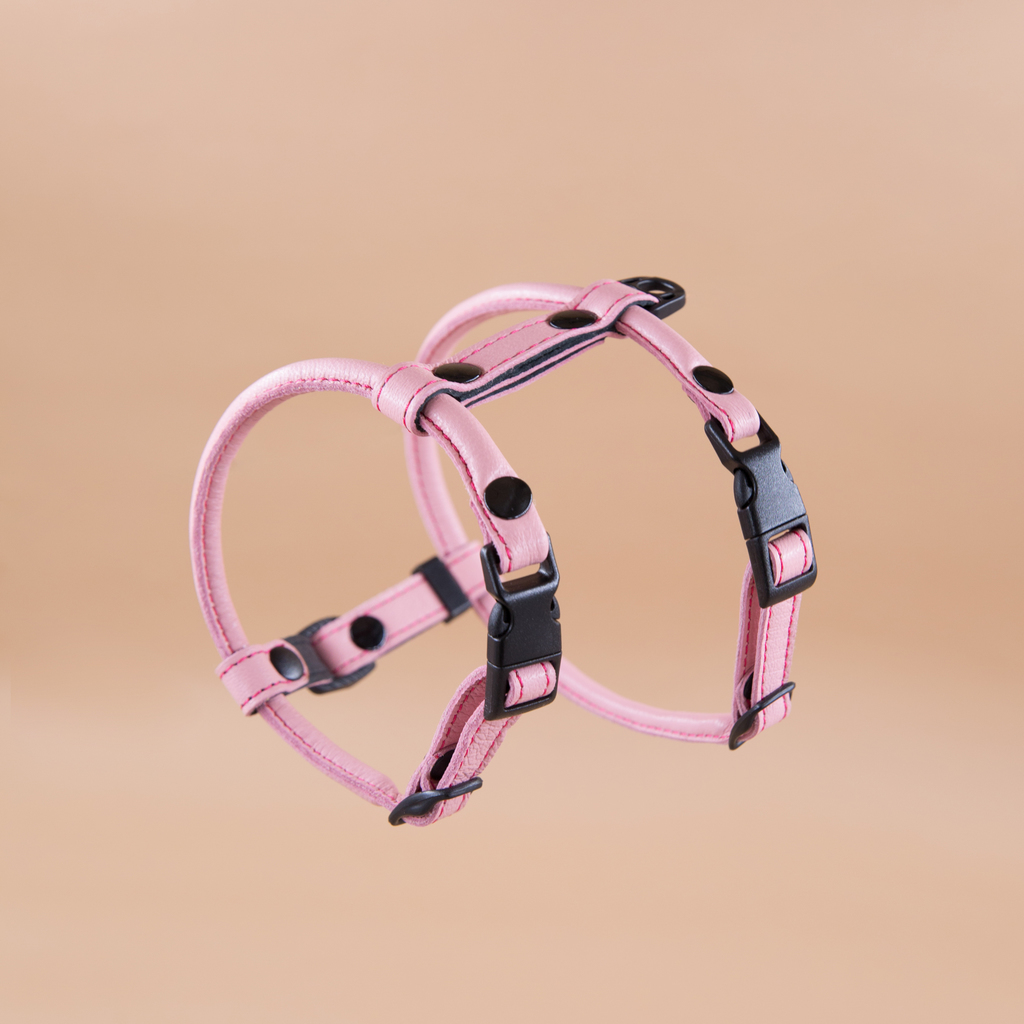 Кожаная шлейка круглого сечения для Шпица (померанского и немецкого) Клубничный крем