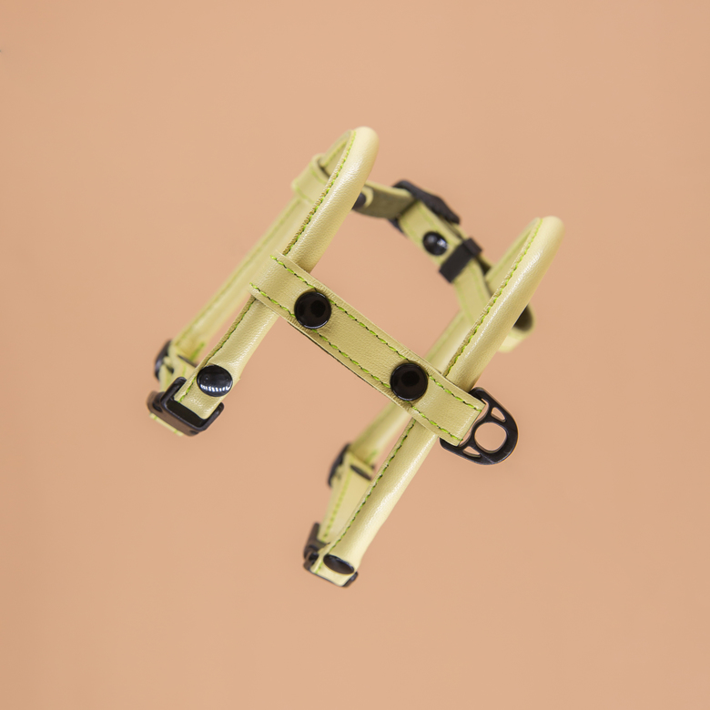 Кожаная шлейка круглого сечения для Шпица (померанского и немецкого) Лайм