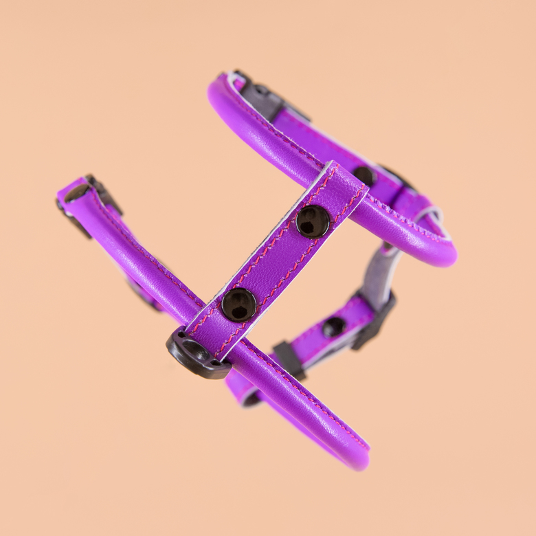 Кожаная шлейка круглого сечения для Шпица (померанского и немецкого) Орхидея