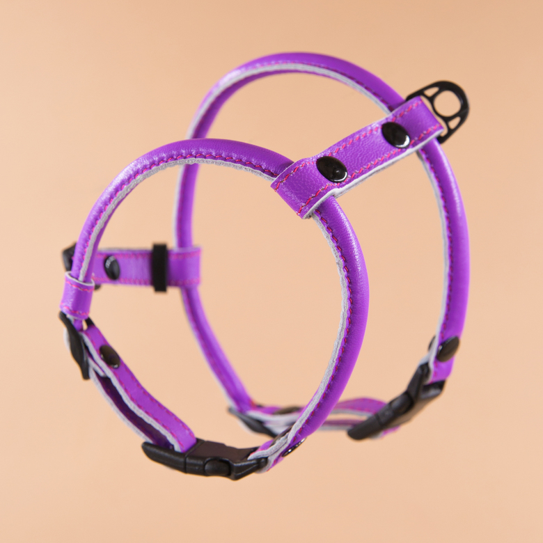 Кожаная шлейка круглого сечения для Шпица (померанского и немецкого) Орхидея