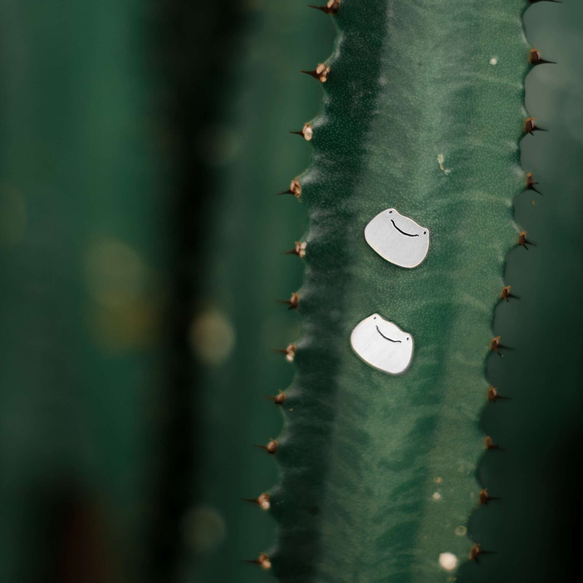 Жабки серьги пусеты