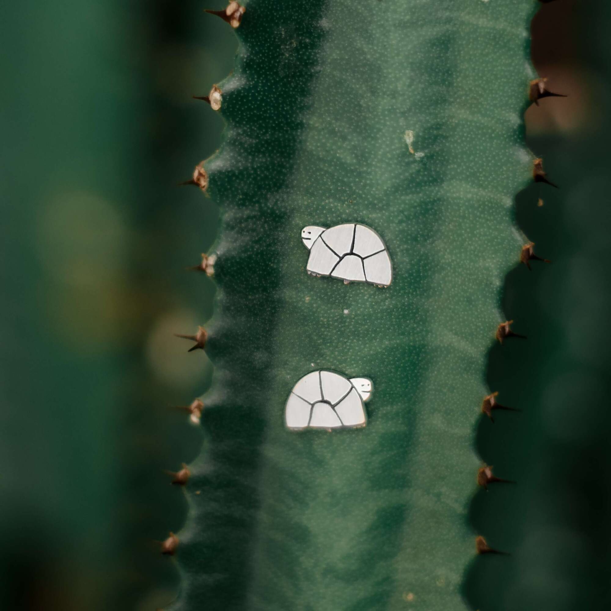 Черепахи серьги пусеты