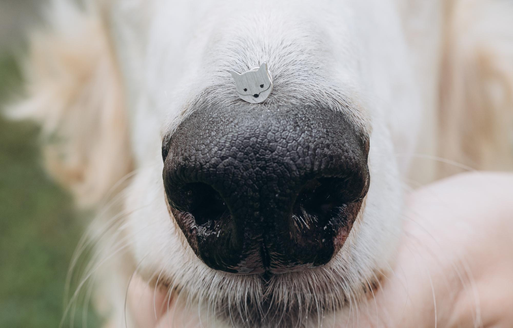 Лисенок серьги пусеты