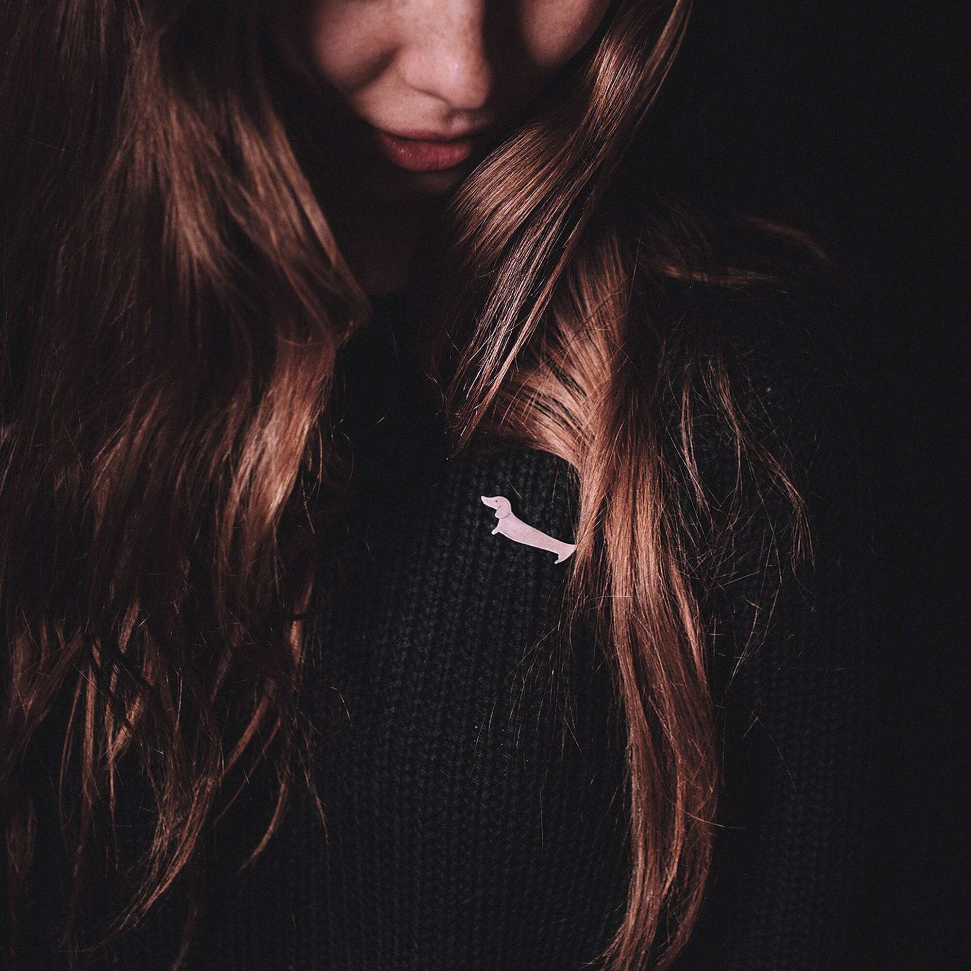 Такса брошь