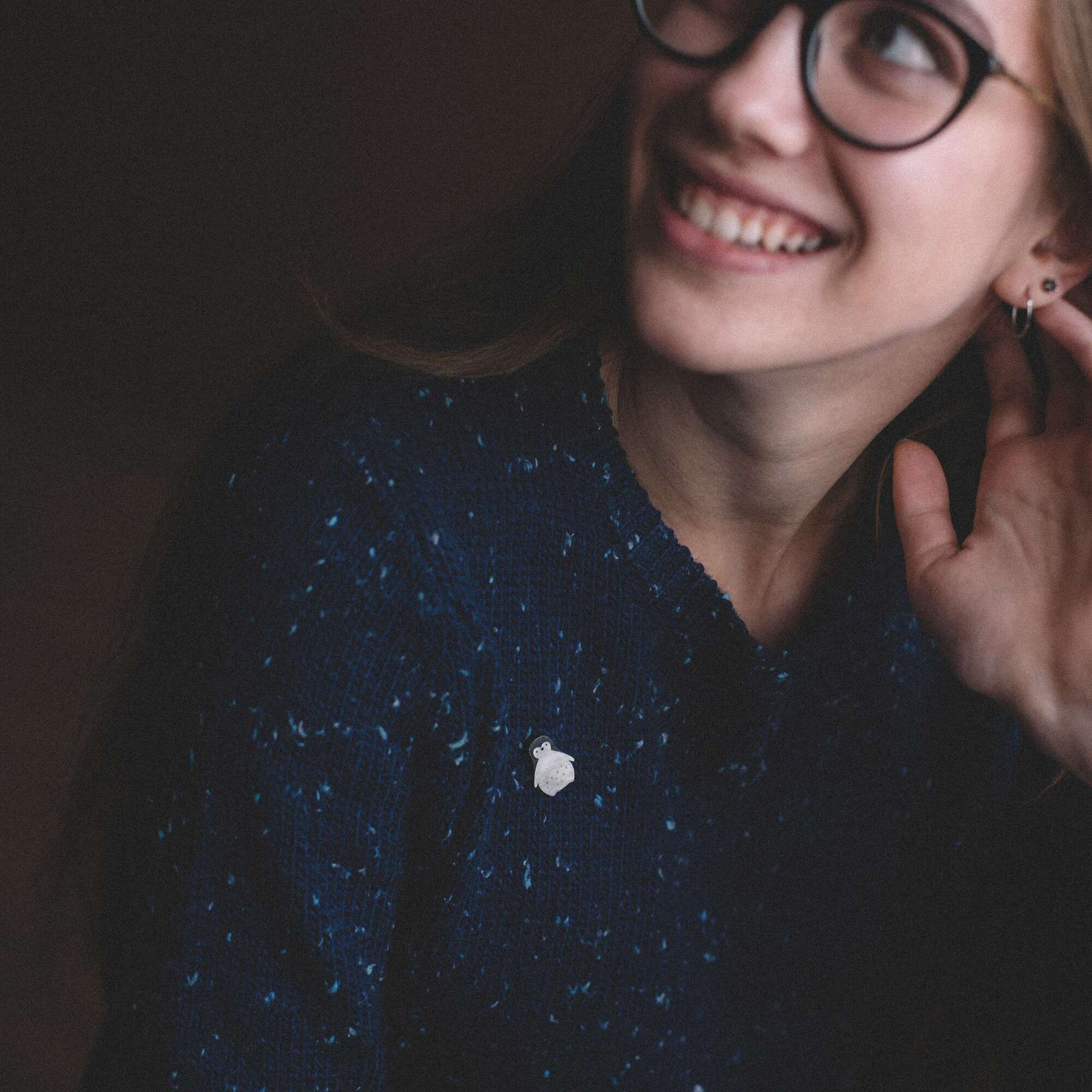 Пингвин брошь