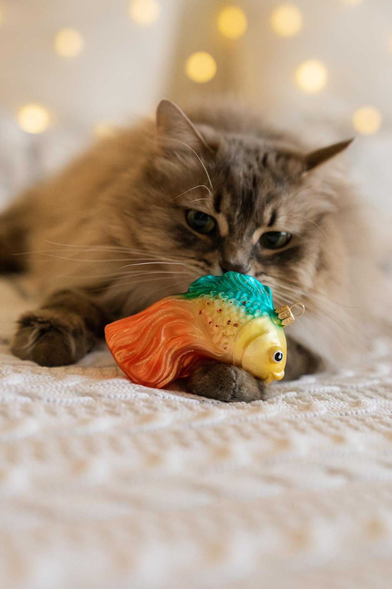 Елочная игрушка "Рыба, исполняющая желания"