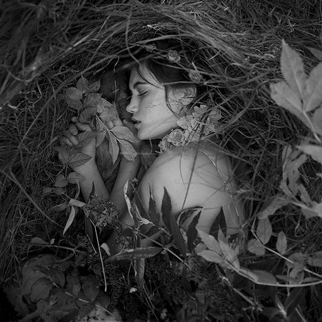 CHENIN BLANC. СОТКАННЫЙ ИЗ СНОВ 27/09/18