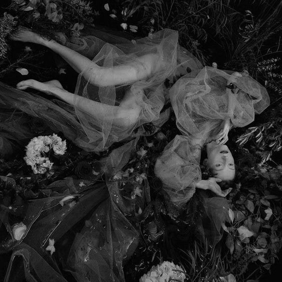 В ЧЕРТОГАХ БУРГУНДИИ 14/04/22