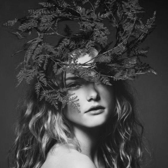 LA CHAMPAGNE EN ROSE 03/11/22