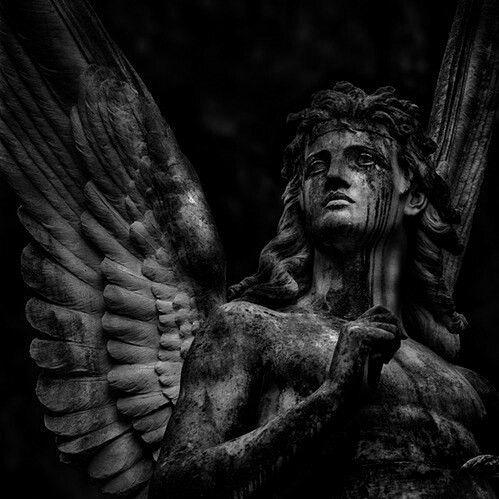 PRIORAT. ЛЕСТНИЦА В НЕБО 17/11/23