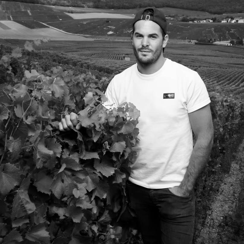 ВЕЧЕР С CHAMPAGNE DHONDT-GRELLET 14/11/24