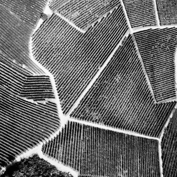 ВЕЧЕР С ВЕЛИКИМИ ВИНАМИ ПЬЕМОНТА  22/11/24