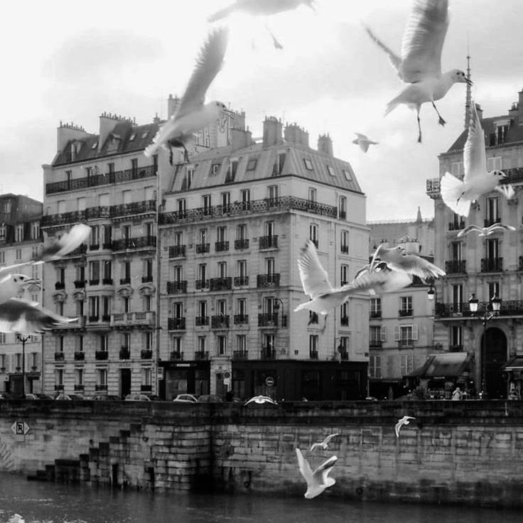 КИНОВЕЧЕР. ПАРИЖ ГЛАЗАМИ ШЕСТИ 28/03/25