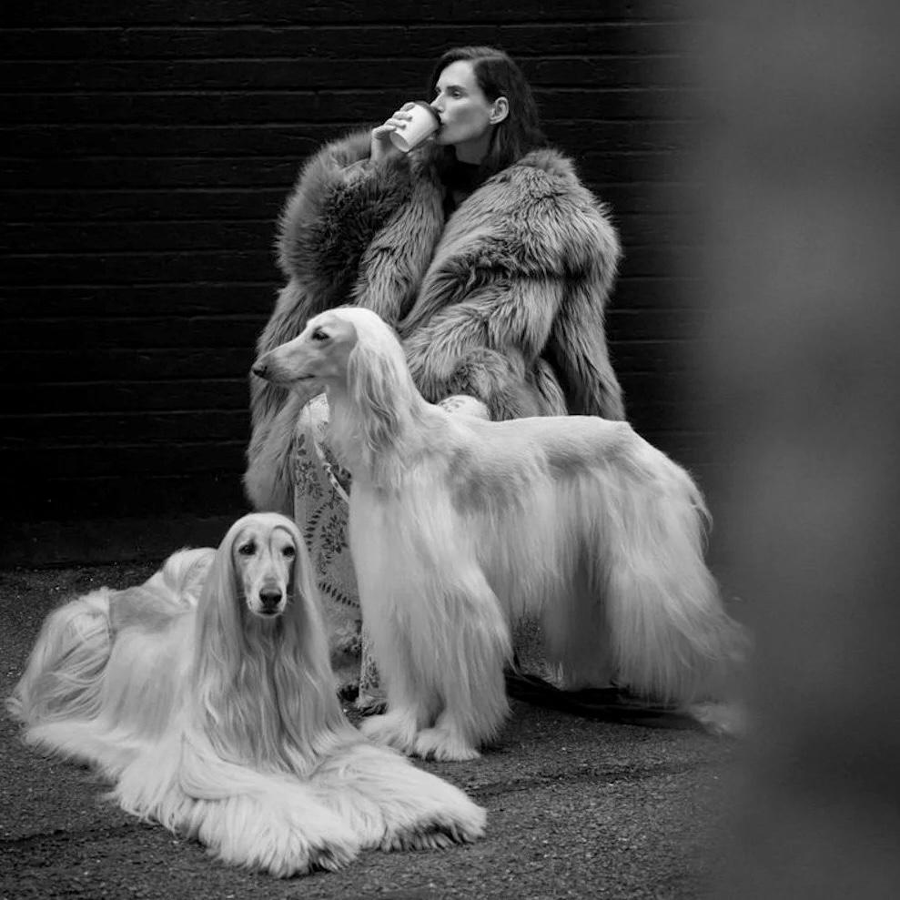 ВЕЧНЫЙ ФАВОРИТ. МЕХ В ИСТОРИИ МИРОВОЙ КУЛЬТУРЫ, МОДЫ И СОВРЕМЕННЫХ ТРЕНДАХ 20/12/25