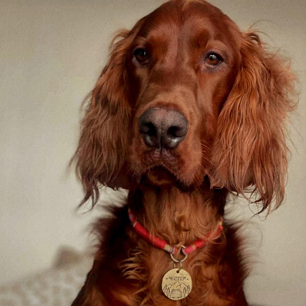 Хиппи-шнур №5