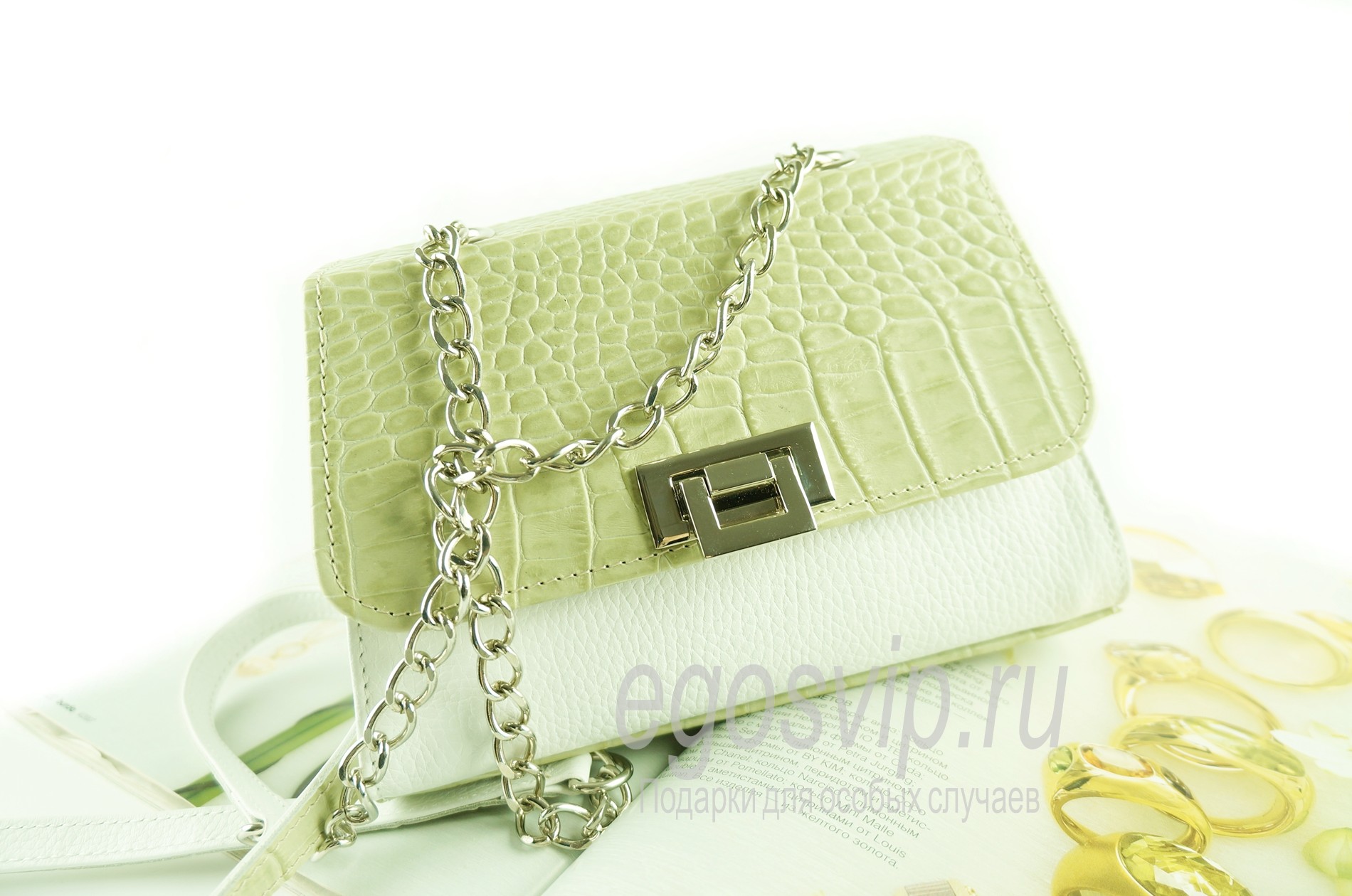 Кожаная сумка с цепочкой / модель 38