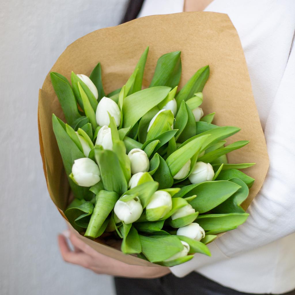 Белые тюльпаны