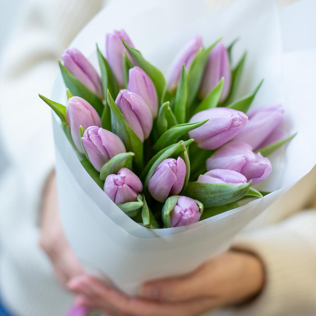 Сиреневые тюльпаны