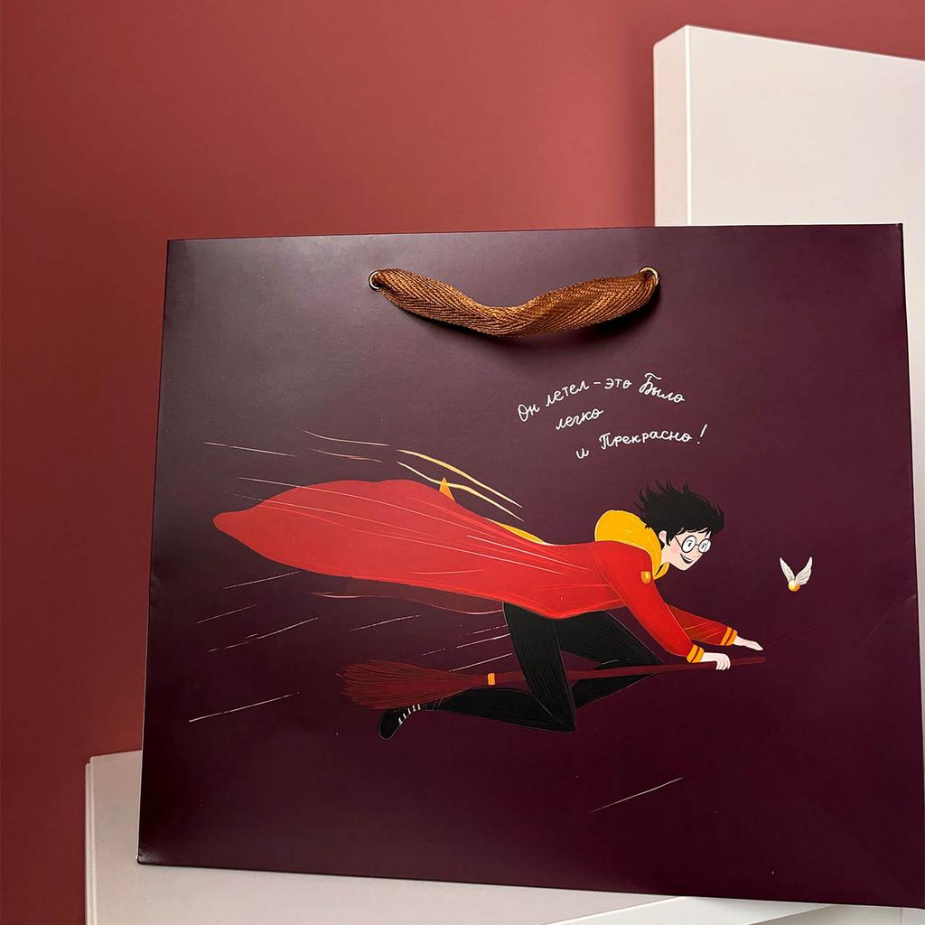 Пакет подарочный "Гарри и Малфой"