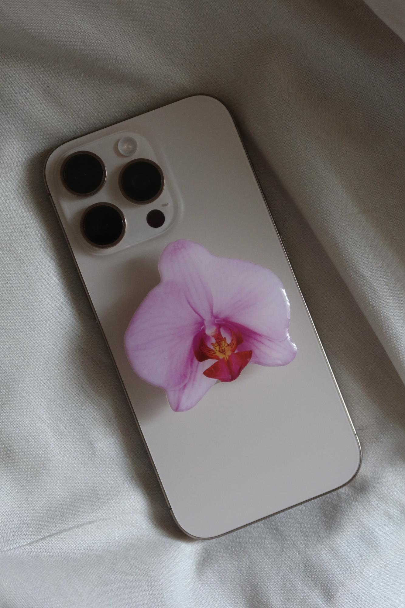 pop-socket hawaii