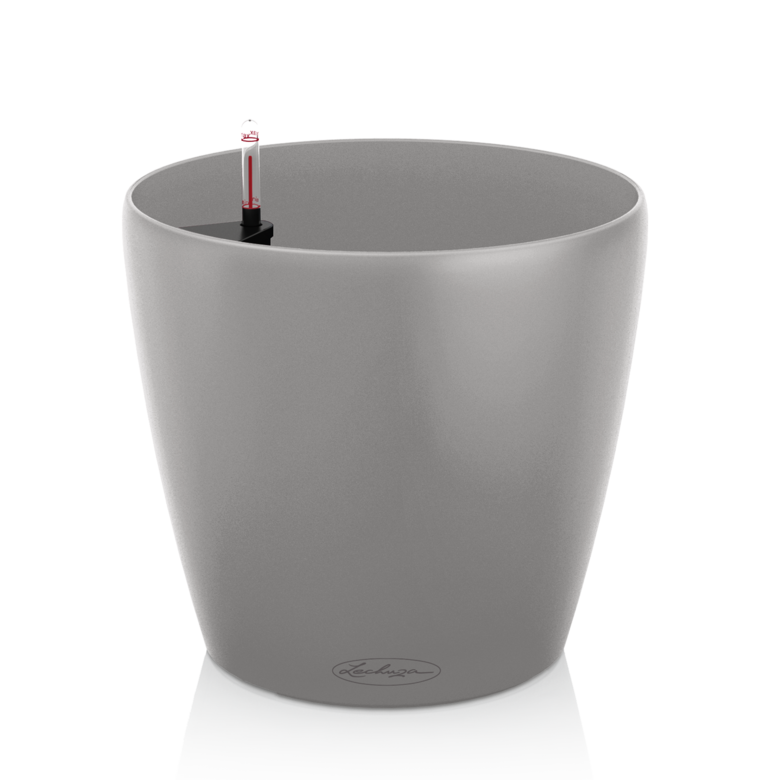 CLASSICO Color Gray