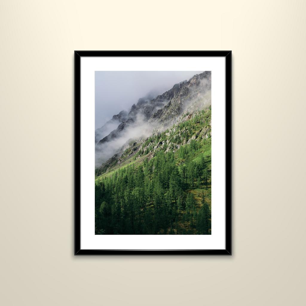 Фотография "Алтай, 2019"